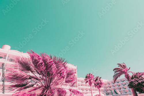 Foto Palms and plants on background of hotels