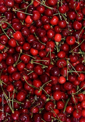 many red cherries