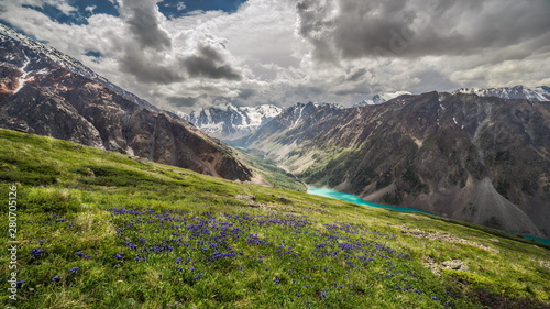 beautiful landscapes of mountain meadows