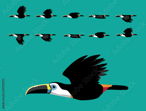 Toucan Flying Animation Cute Cartoon Vector Illustration