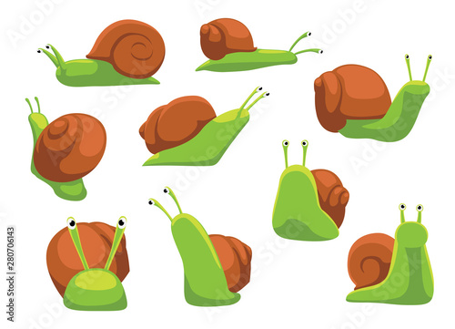 Escargot Snail Helix Cartoon Vector Illustration