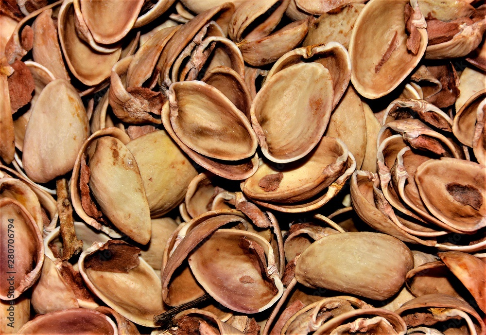 Many pistachio shells Many pistachio shells