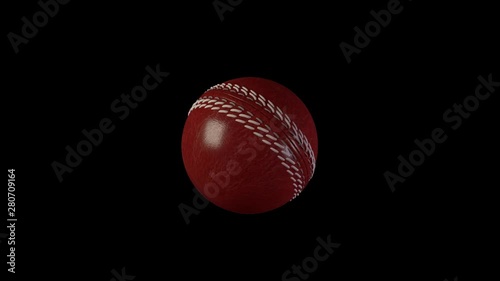 Cricket Ball