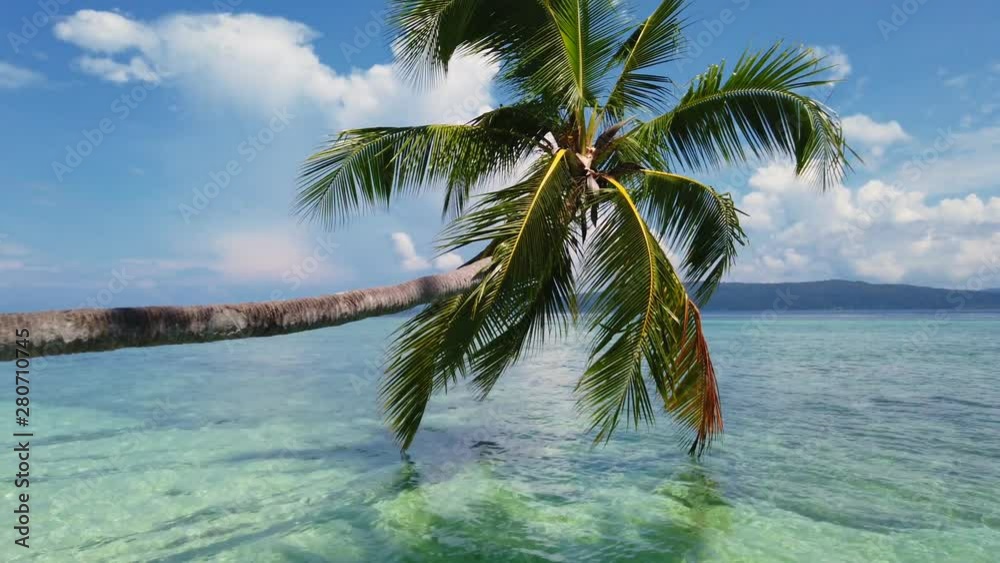 Seascape with coconut palm tree sunlight over blue ocean, summer background.. Seascape with coconut palm tree sunlight over blue ocean, summer background..
