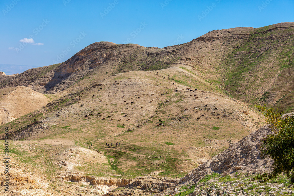 Judean desert hills in spring.