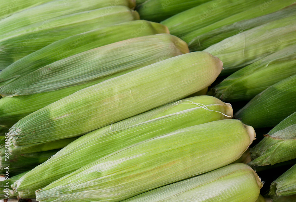 Fresh green healthy corncobs in rows on local market, image for background. Fresh green healthy corncobs in rows on local market, image for background.