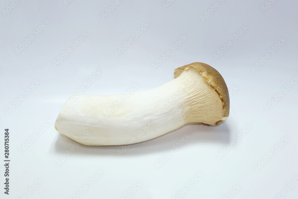 Mushrooms or Orinji isolated on white background, fresh vegetable for cooking, Single Mushrooms or Orinji isolated on white background, fresh vegetable for cooking, Single