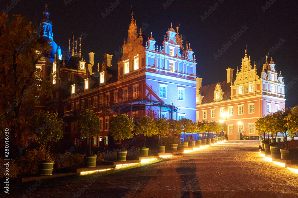 Fototapeta premium New Castle in the park Muskauer at night in Germany.