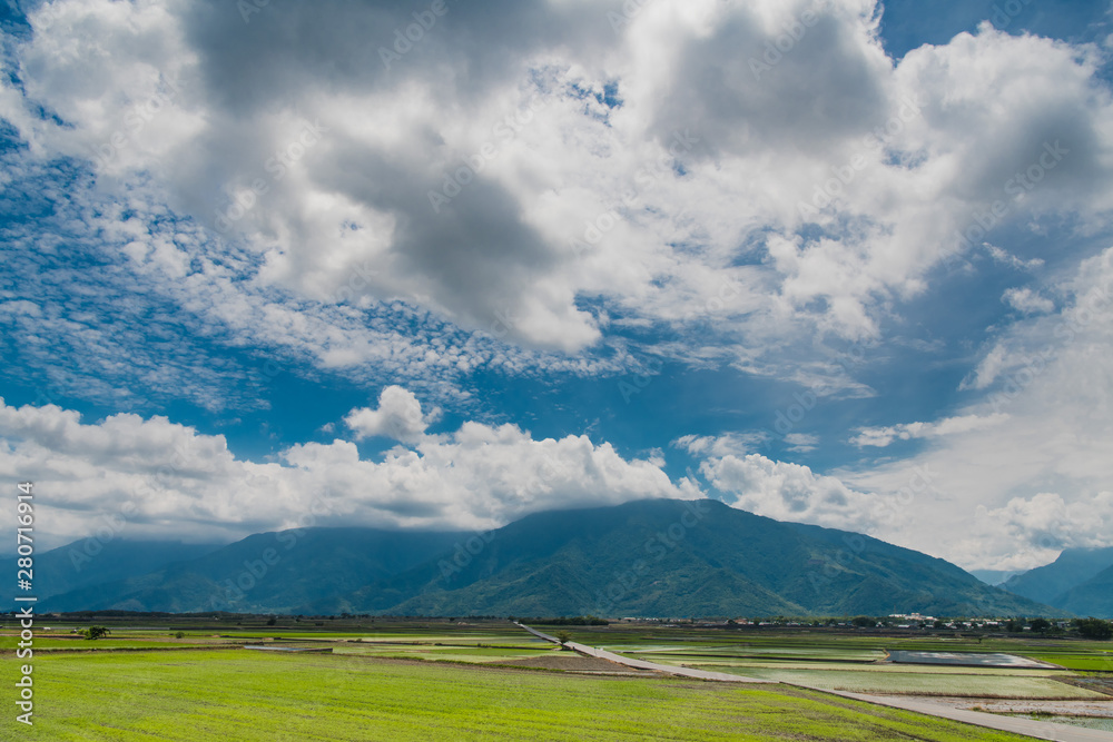 Landscape View Of Beautiful Rice Fields At Brown Avenue, Chishang, Taitung, Taiwan Landscape View Of Beautiful Rice Fields At Brown Avenue, Chishang, Taitung, Taiwan