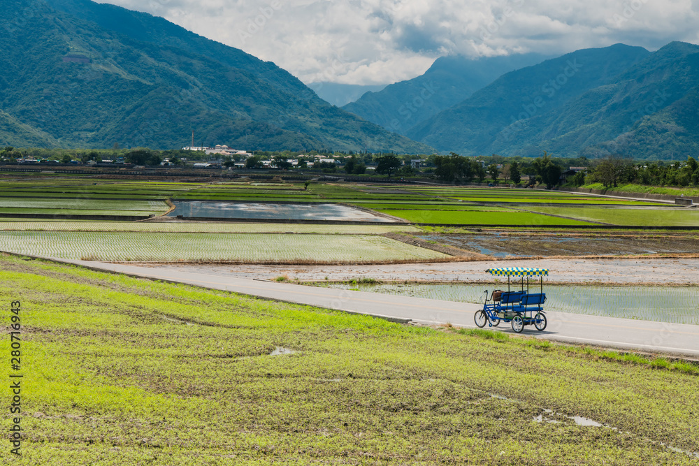 Many tourists ride electric tricycles on the field roads.Landscape View Of Beautiful Rice Fields At Brown Avenue, Chishang, Taitung, Taiwan