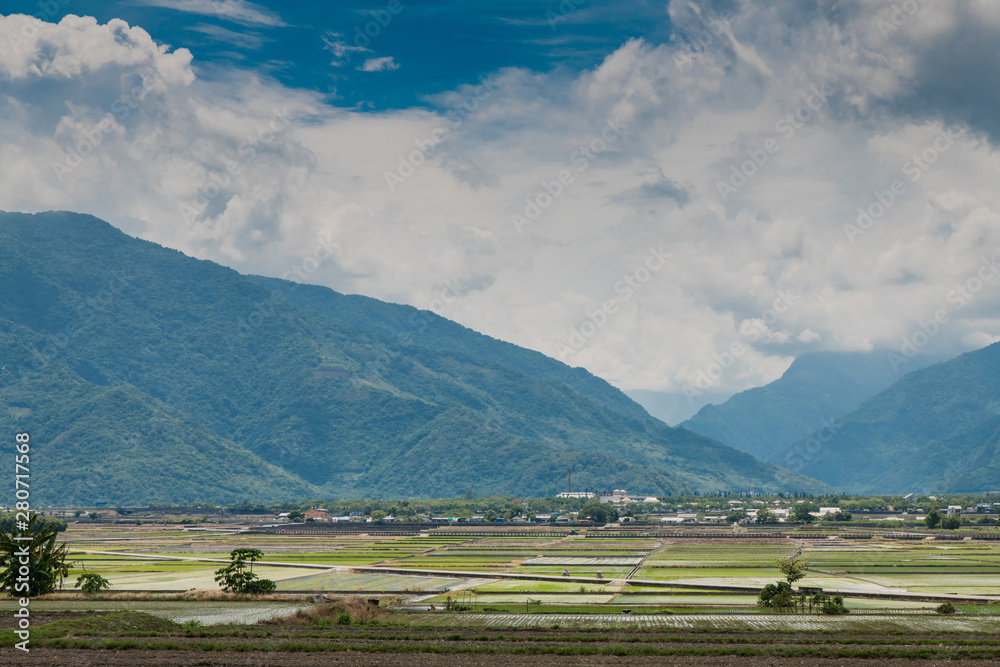 Landscape View Of Beautiful Rice Fields At Brown Avenue, Chishang, Taitung, Taiwan
