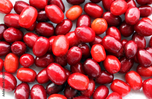 Cornelian cherry fruits, sweet and sour taste photo