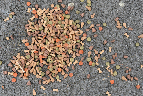 dry dog meal on asphalt floor photo