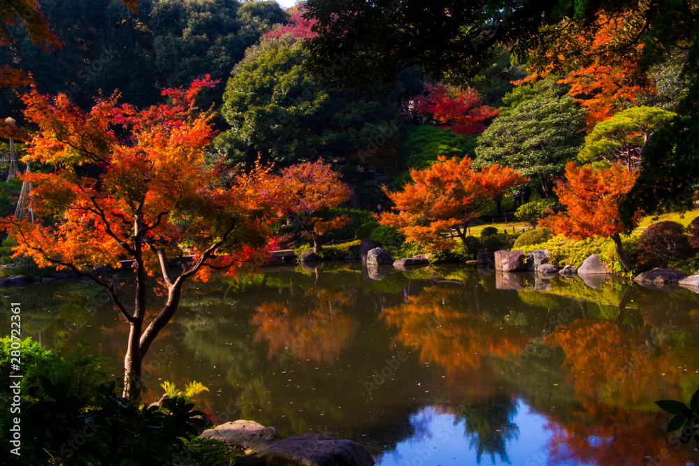 旧古河庭園の紅葉