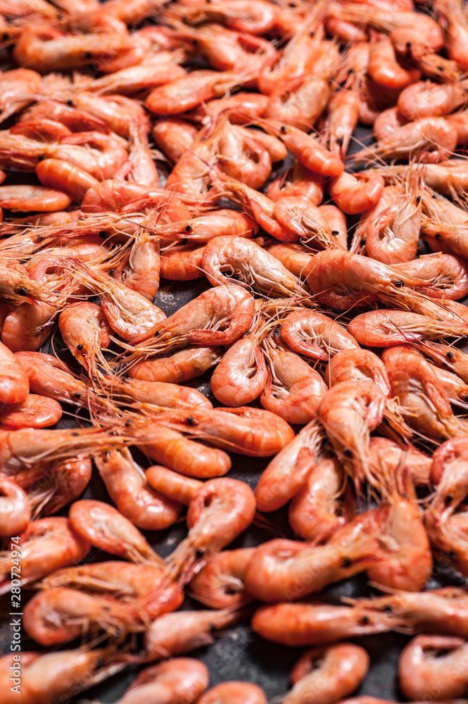 Shrimps on dark grunge background. Top view Shrimps on dark grunge background. Top view
