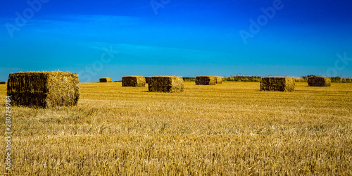 Winterbourne Bassett Bales photo