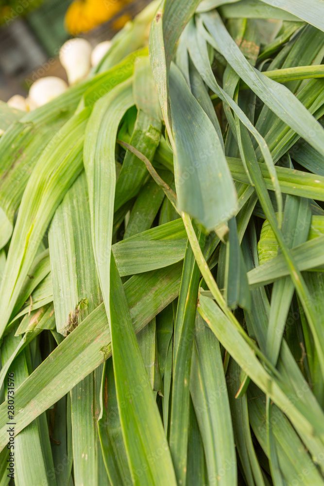 Obraz premium Close-up of leek at a public market