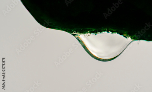 Macro image of a drop of water falling from the eaves of the roof.