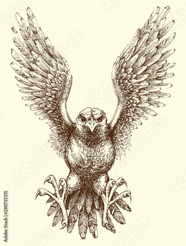Flying eagle detailed hand drawing. Eagle attack
