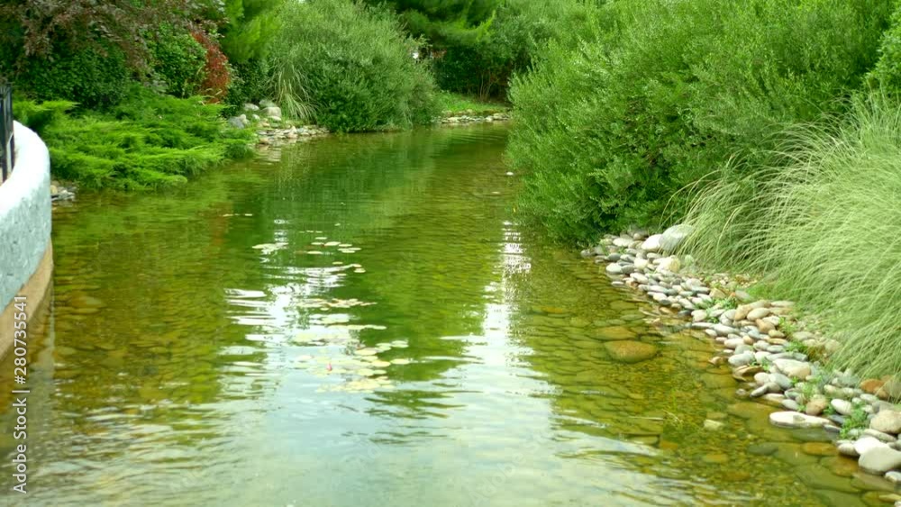 landscape design. River in the park with beautiful trees along the banks. duckweed on the water landscape design. River in the park with beautiful trees along the banks. duckweed on the water