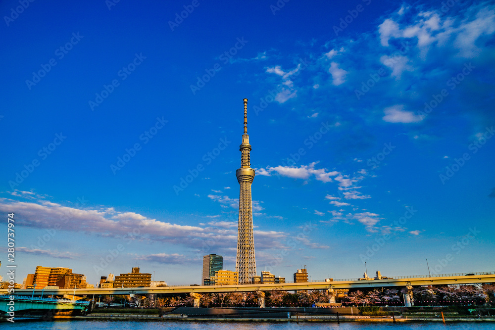 Naklejka premium 東京スカイツリーと晴天の空