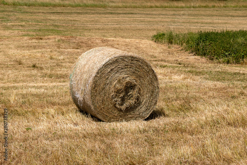 bales of hay