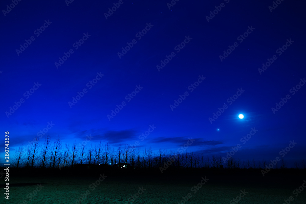 Naklejka premium アイスランドの朝明けと並木道