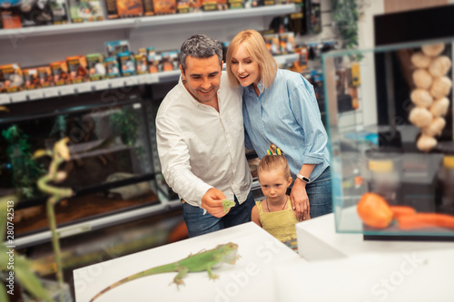 Man giving lettuce to iguana while looking at it with wife and daughter