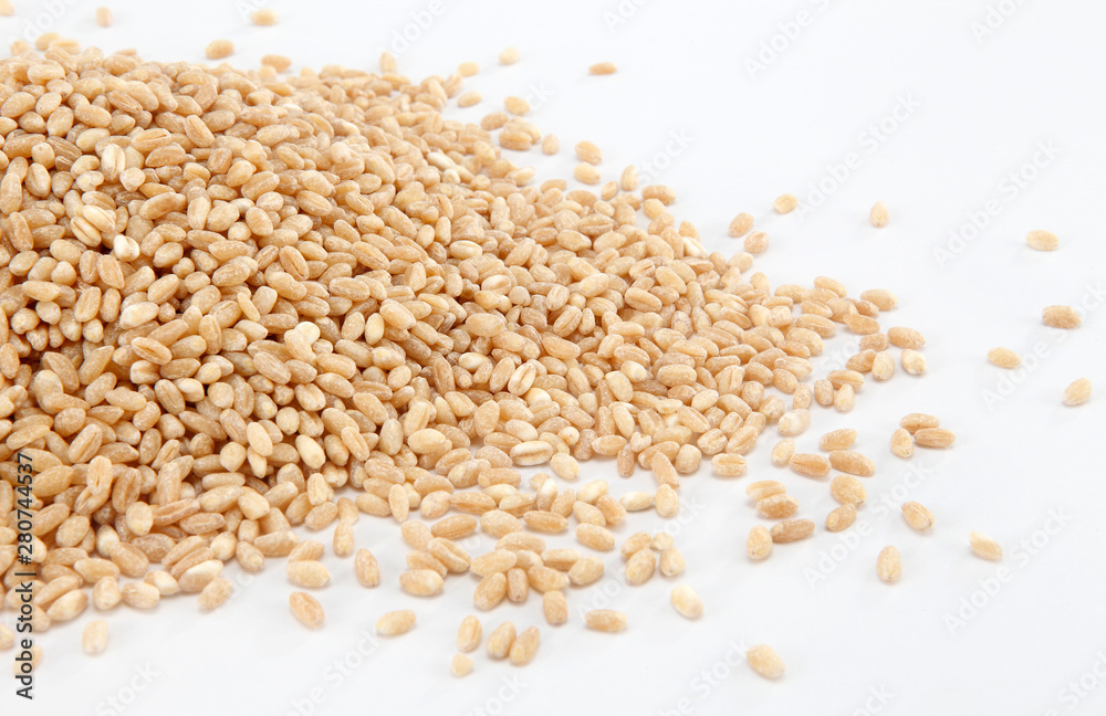 wheat grains wheat grains