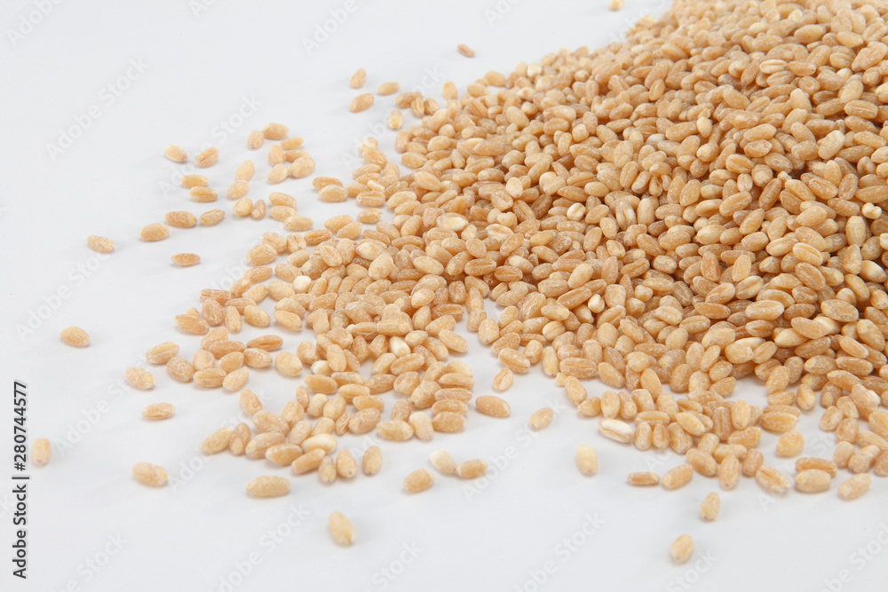 wheat grains wheat grains