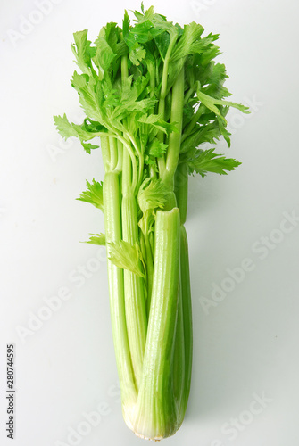 fresh celery isolated on white background