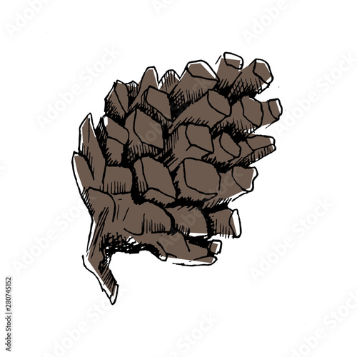 Pine cone sketch. Hand-drawn single brown pine cone, isolated on white background. Doodle vector illustration.