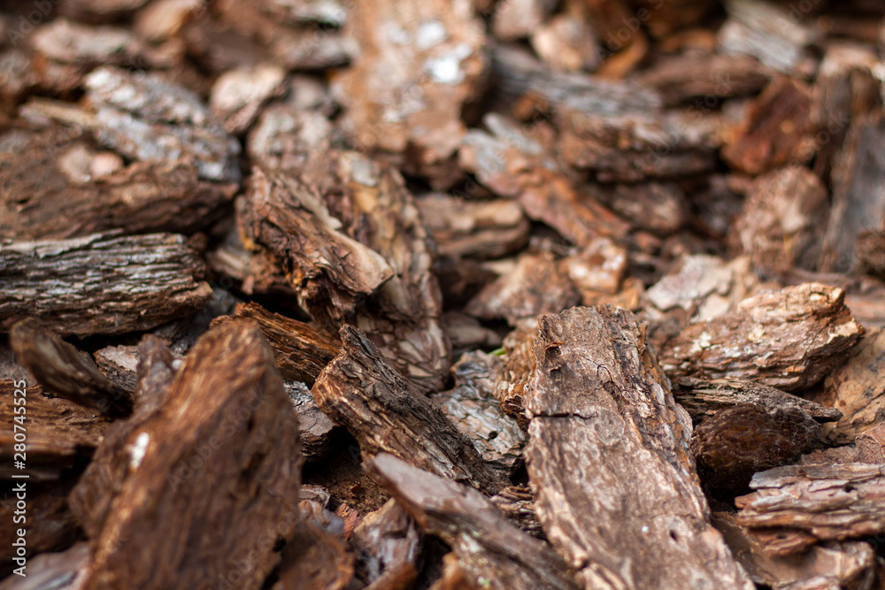 Pine mulch bark texture for decorating flower beds close-up. Soft focus. Pine mulch bark texture for decorating flower beds close-up. Soft focus.