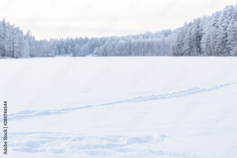 The forest on the ice lake has covered with heavy snow and sky in winter season at Lapland, Finland.