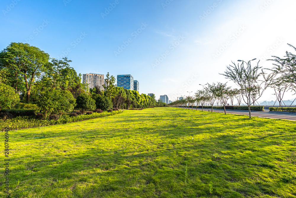 Naklejka premium park