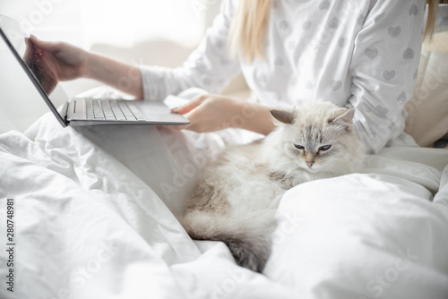 Blonde Giirl typing and using laptop   hygge with fluffy cat, pajama and blanket. Hugge and lagom concept comfort and simple life . Horizontal copyspace photo