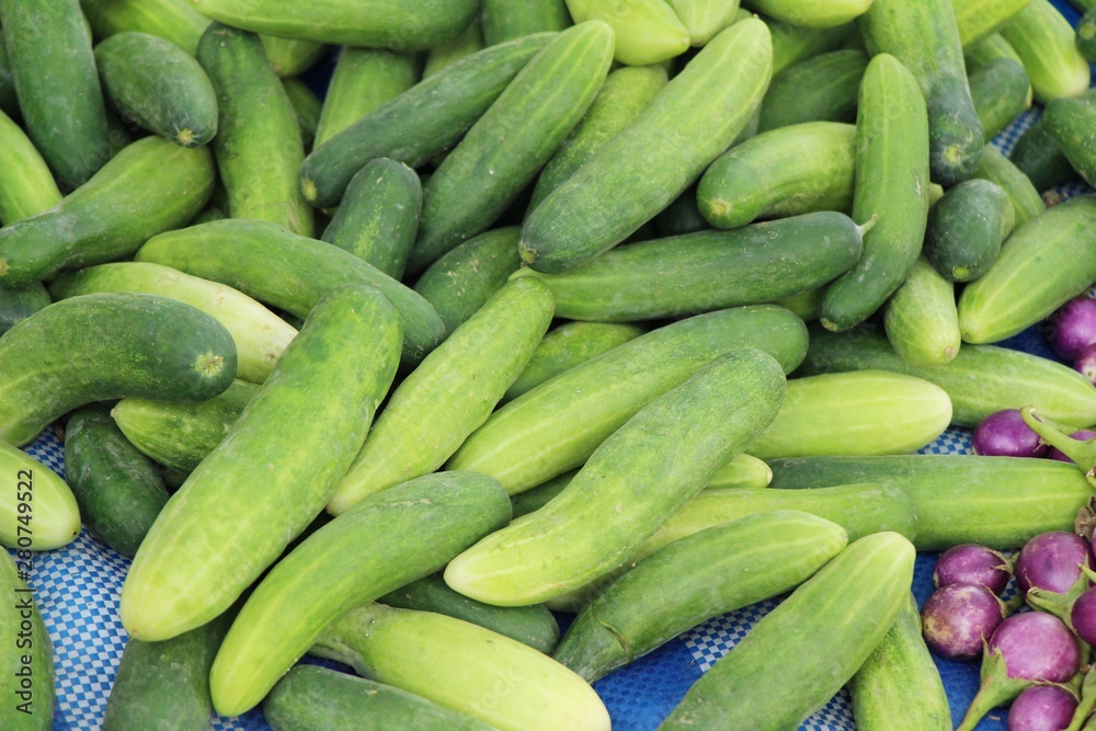 Fresh cucumbers for cooking in the market Fresh cucumbers for cooking in the market