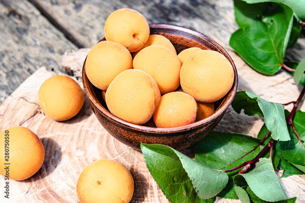 Ripe yellow apricots in a bowl on a wooden table near green leaves.