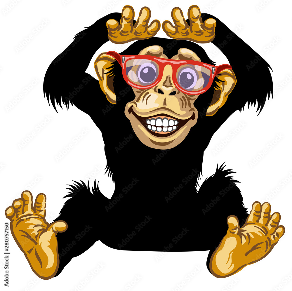 cartoon chimp ape or chimpanzee monkey with glasses smiling cheerful with a  big smile on face showing teeth. Positive and happy emotion. Sitting pose.  Front view. Isolated vector illustration Stock Vector |