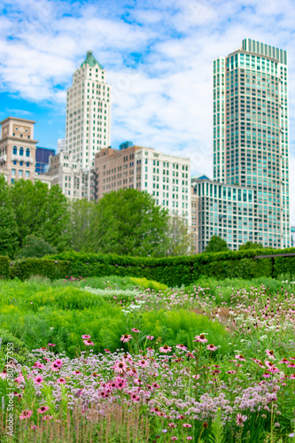 Native Plants at a Park with Downtown Chicago Skyscrapers in the Background © James