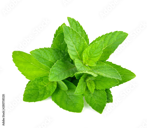mint leafs isolated on a white background