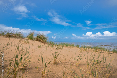 Wilde D  nenlandschaft an der Nordsee mit Grashalmen im Vordergrund  Hintergrund Meer und Himmel