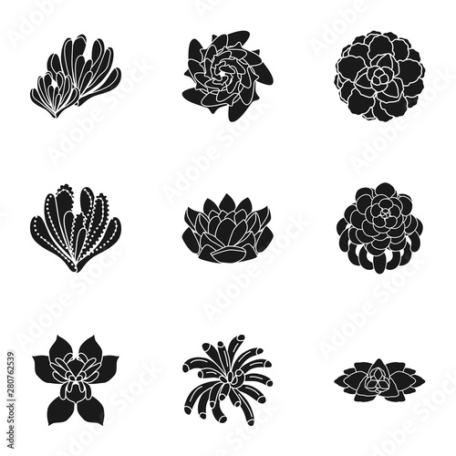 Succulent plant icon set. Simple set of 9 succulent plant vector icons for web design isolated on white background