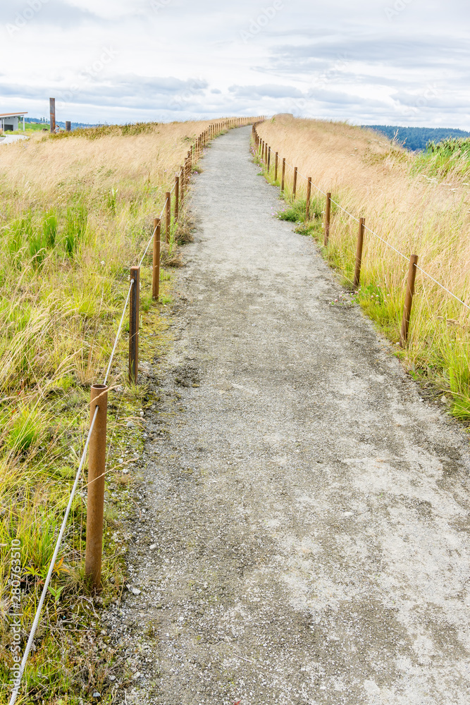 Path at Tacoma Park 3