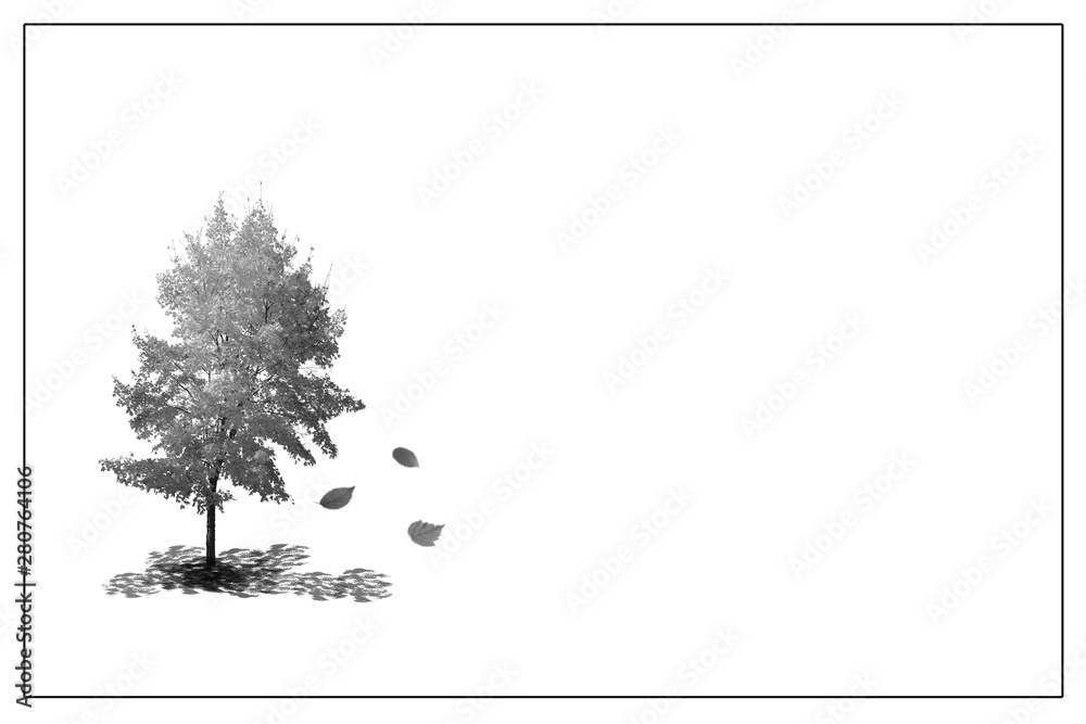 Trauer, weißes Bild mit Baum und fallenden Blättern StockFoto Adobe