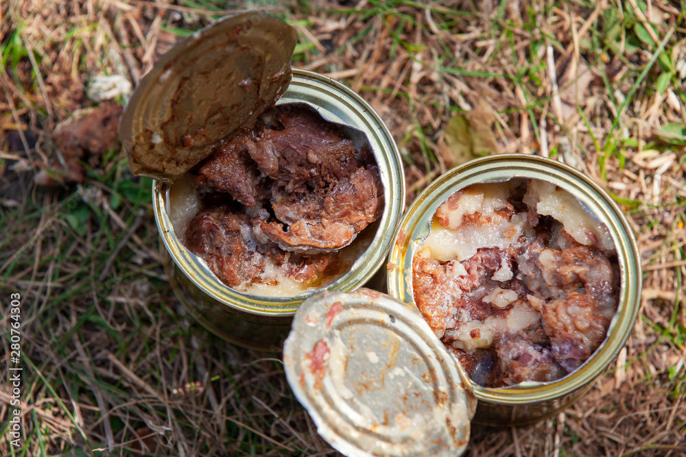 Beef stew in two opened cans. Top view Beef stew in two opened cans. Top view