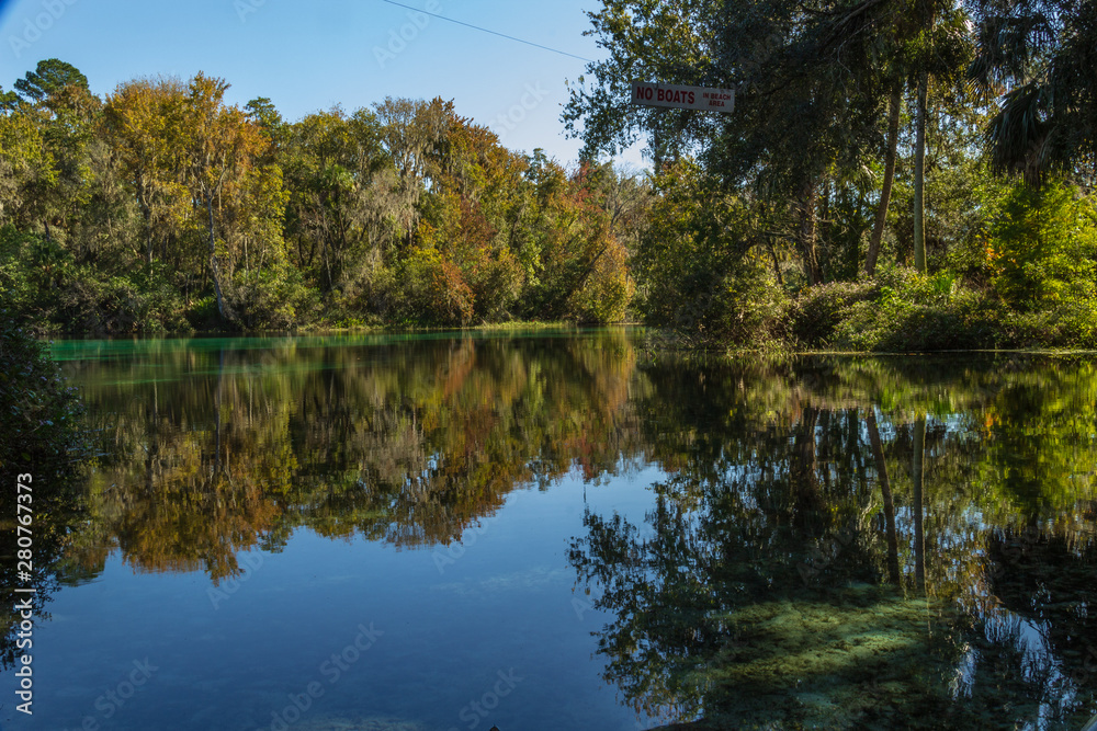 Fototapeta premium The color of nature over glass water