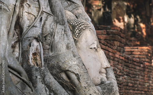 Close up Ancient Budda Head in roots at Ayutthaya © dodotone