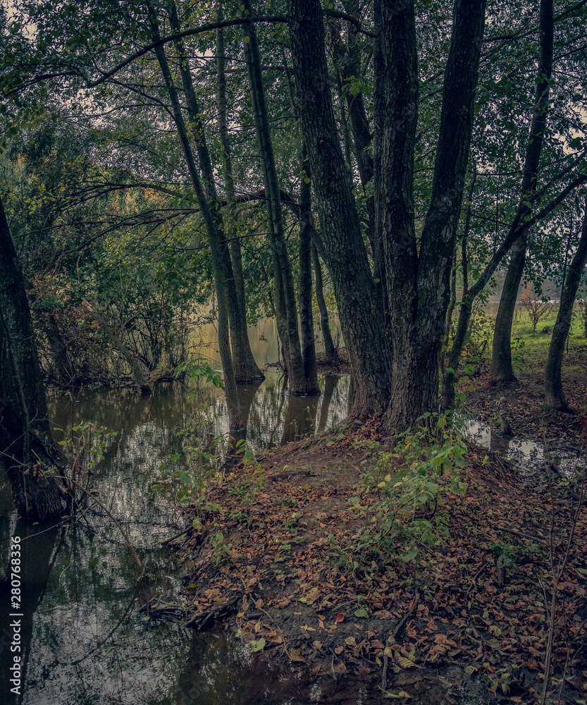 Naklejka premium Sunrise on river