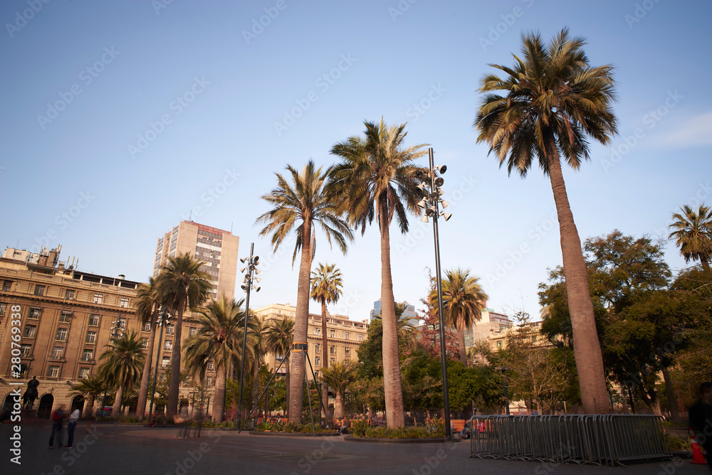 Plaza de Armas and its palm trees in the city of Santiago de Chile